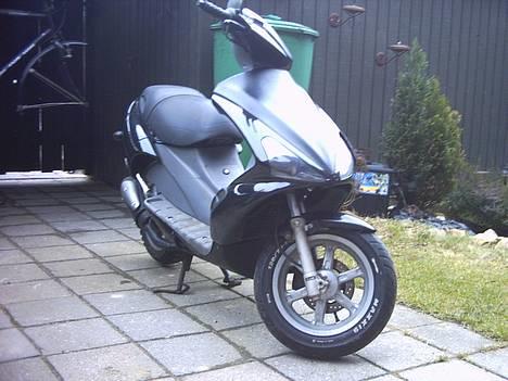 Benelli 491 billede 1