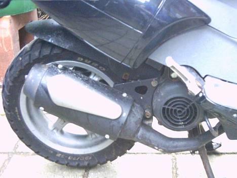 Benelli 491 billede 2