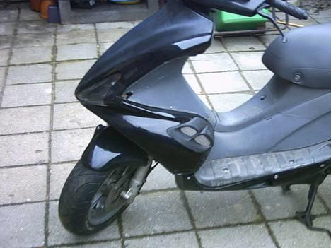 Benelli 491 billede 3