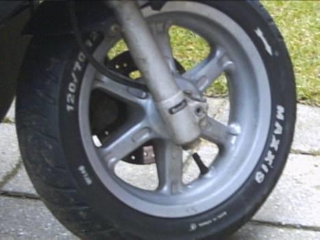 Benelli 491 billede 4