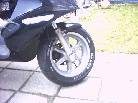 Benelli 491 billede 5