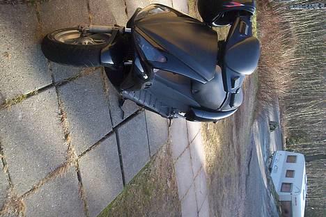 Benelli 491 billede 6