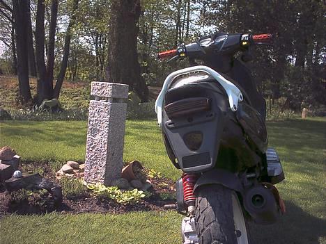 PGO Pmx Sport ~TeaM PgC~ billede 10