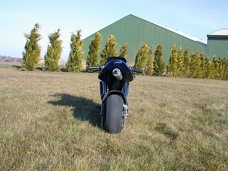 MiniBike Polini Dreambike billede 2