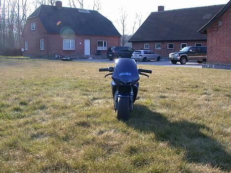 MiniBike Polini Dreambike billede 3