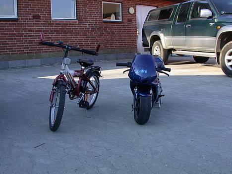 MiniBike Polini Dreambike billede 8