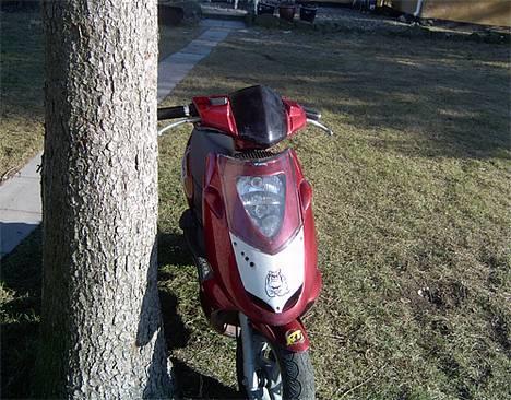 Aprilia Aprilia Sonic billede 7