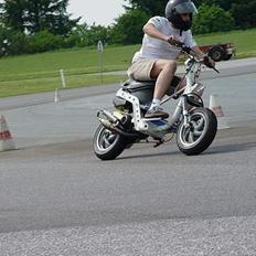 Piaggio Zip Lc (SOLGT)