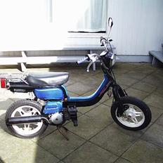 Suzuki FZ50 "SOLGT"