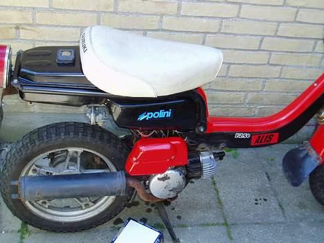 Suzuki fz 50  billede 5