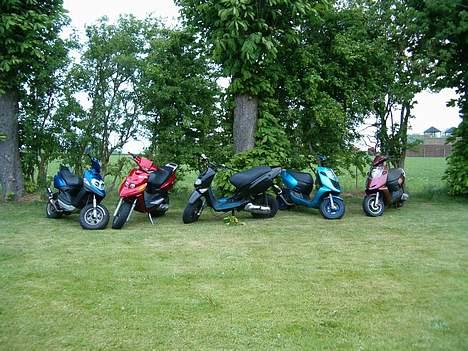 Aprilia Sonic - Solgt billede 9