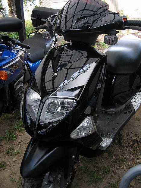 PGO dr.big *(TOTAL SKADET)*  - nye billeder. billede 2