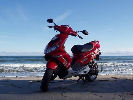 Peugeot wrc 206 || solgt || billede 19