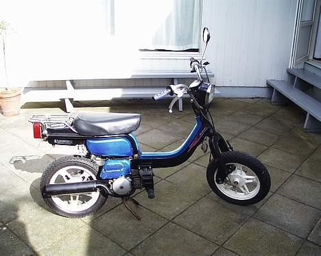 Suzuki FZ50 "SOLGT" billede 3