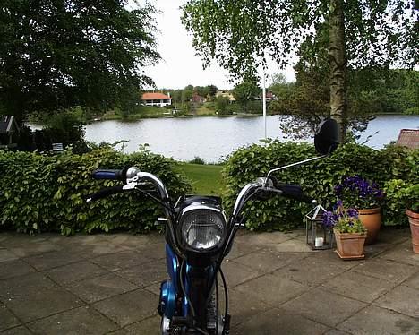 Suzuki FZ50 "SOLGT" billede 4