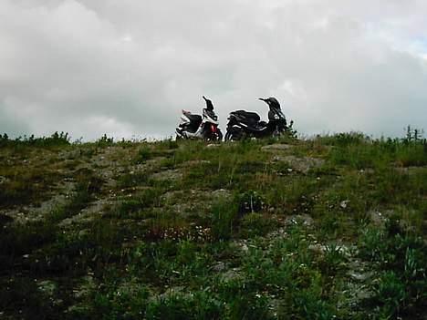 Yamaha spy/ng "SOLGT" billede 4