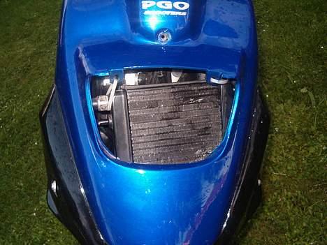 PGO Hot 50 LC billede 6