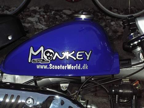 Jincheng Monkey - Not monkey for fun.. no its for alvor!  billede 1