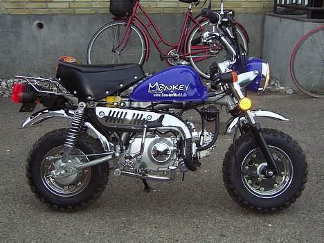 Jincheng Monkey - Den er bare for Dejlig manner billede 3