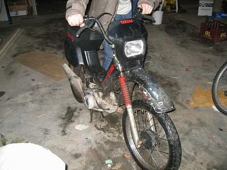 Yamaha sting billede 1