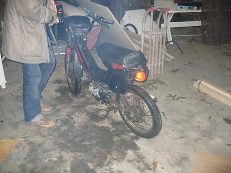 Yamaha sting billede 4