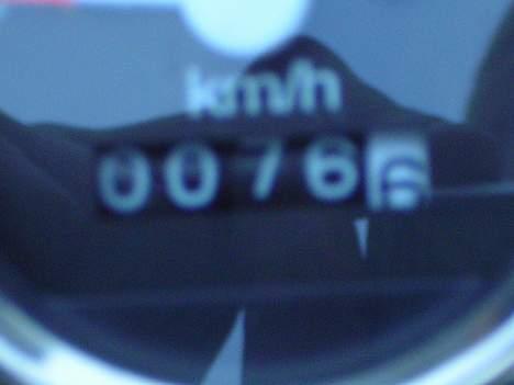 Jincheng Monkey - Helt ny... et meget vigtigt billede!  billede 7