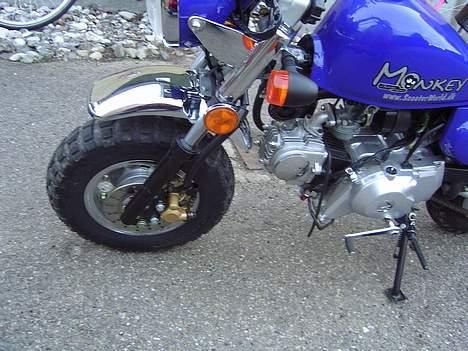 Jincheng Monkey - Med skive...  billede 8