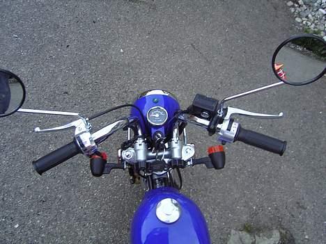 Jincheng Monkey - Godt billede... tjek den ud mann... billede 9