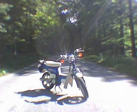 Suzuki FZ50 ~OFSRT~ - Uhh... Hun er smuk :P billede 11