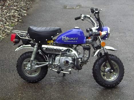 Jincheng Monkey - uden spejle er den sød billede 10