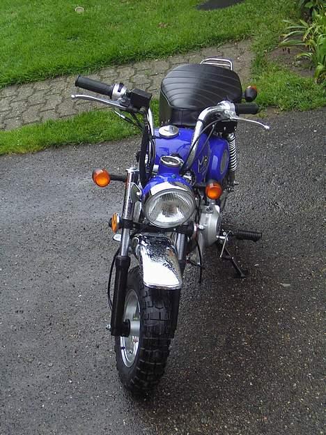 Jincheng Monkey - Den er så fræk billede 11