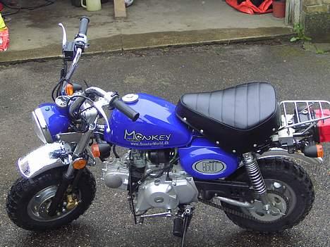 Jincheng Monkey - igen den er så fræk i love it... billede 12