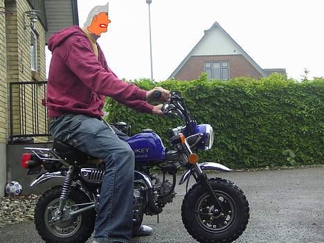 Jincheng Monkey - Anonym.. man sidder herre godt på den billede 13