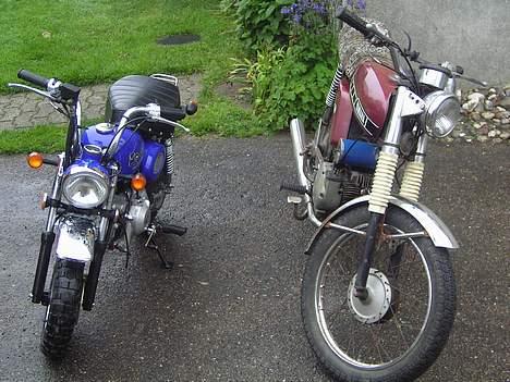 Jincheng Monkey - JAhhhh billede 17