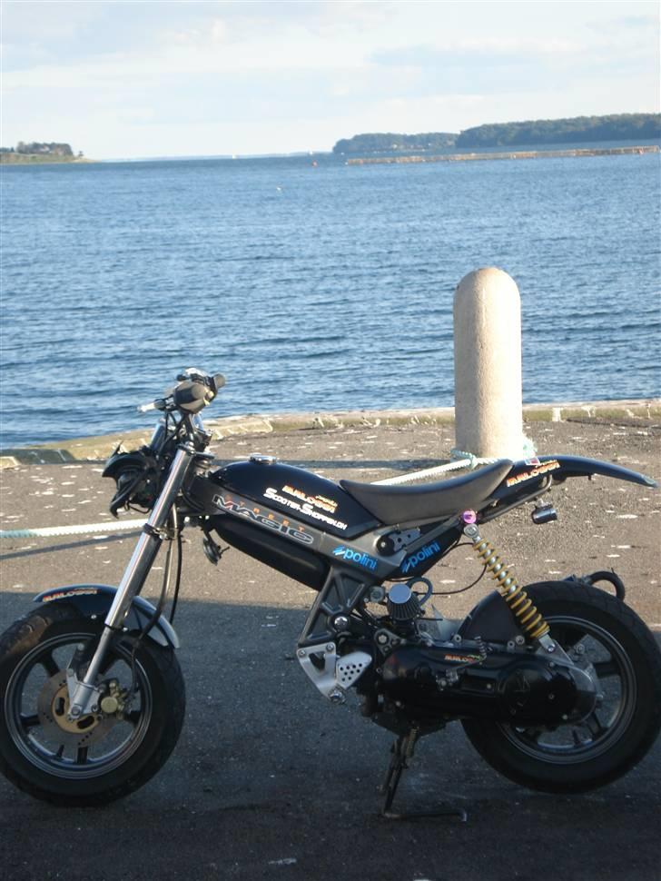 Suzuki Street Magic ELEANOR billede 5