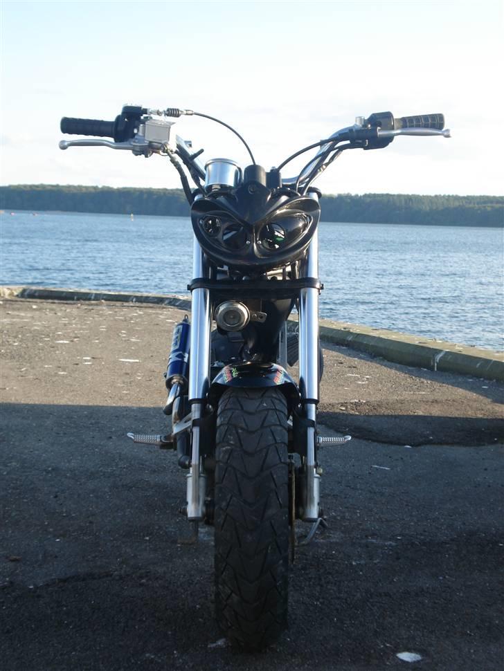 Suzuki Street Magic ELEANOR billede 10