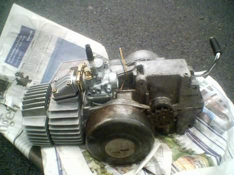 Puch Maxi KL (Emma) billede 7