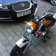 Skyteam Dax *totalt skadet*