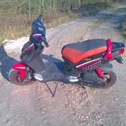 PGO PMX SPORT ((SOLGT))