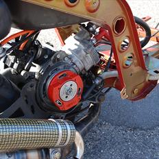 Piaggio Typhoon ts 19,4 hk