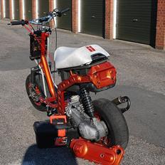 Piaggio Typhoon ts 19,4 hk