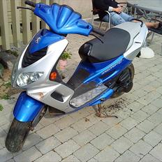 Peugeot speed fight 2