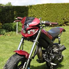 Suzuki Street Magic Byttet