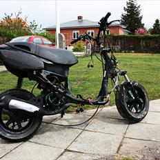 Benelli 491 SD AC (BYTTET)