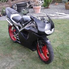 Aprilia Rs50-  SOLGT-