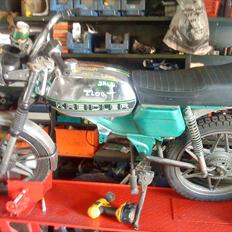 Kreidler rmc (projekt) (the green devil)