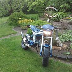 Suzuki Street Magic (solgt)