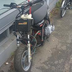 Aprilia sonic (Bane racer)