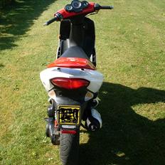 Peugeot Speedfight 2 R-cup(SOLGT)