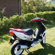 Peugeot Speedfight 2 R-cup(SOLGT)